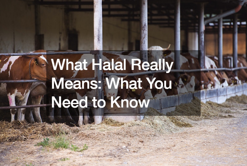 What Halal Really Means What You Need to Know
